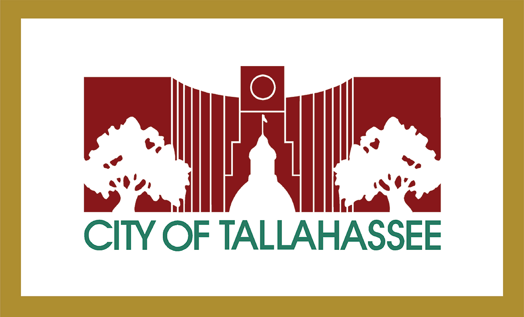 1986-2002, City Hall Silhouette Flag